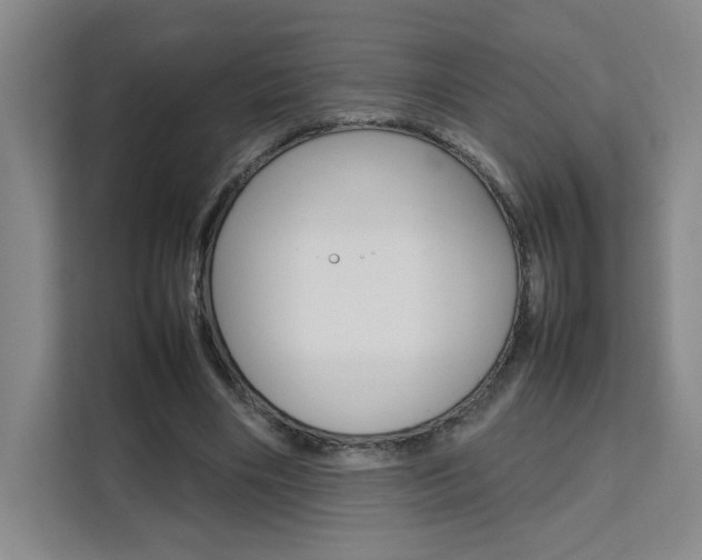 X0000111530490200907141259