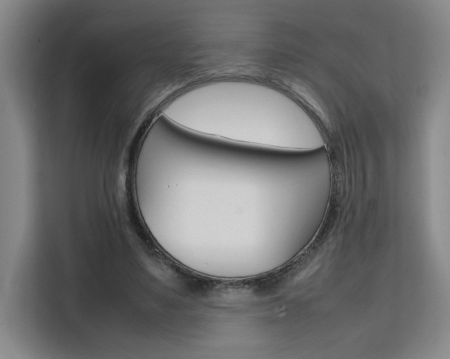 X0000111530491200907141259