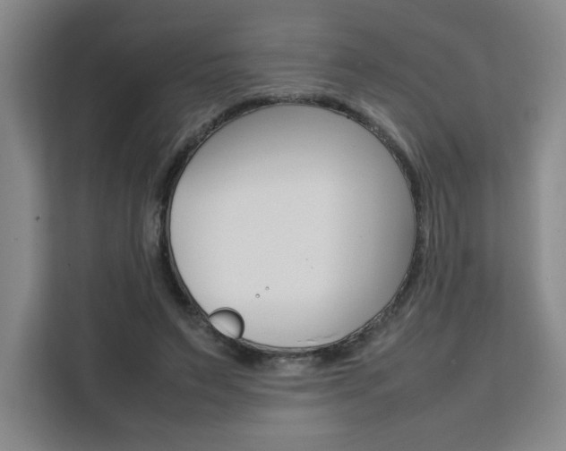 X0000111530495200907141259