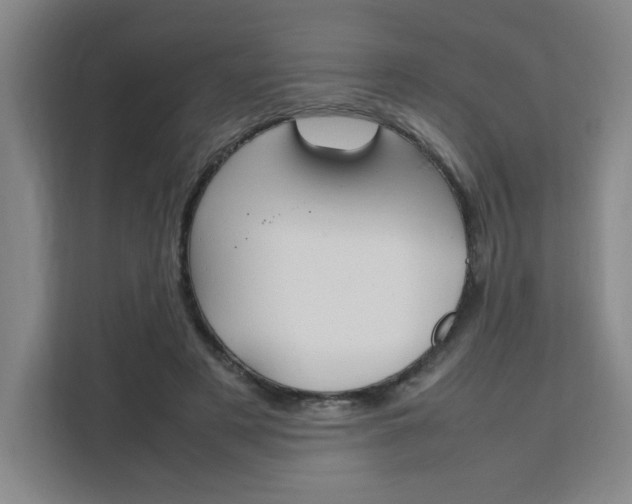 X0000111530497200907141259