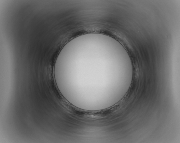 X0000111530498200907141259