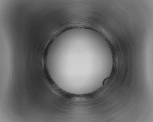 X0000111530500200907141259