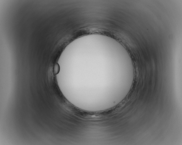 X0000111530506200907141259