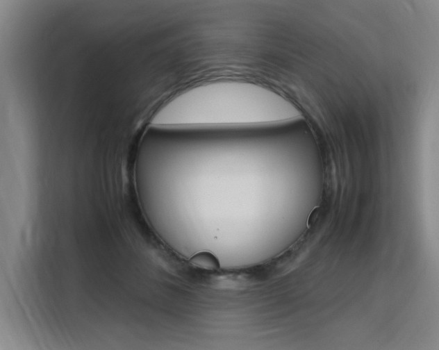 X0000111530508200907141259