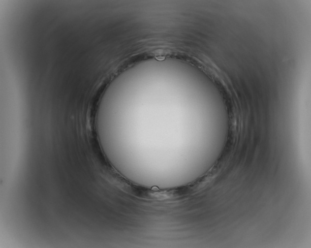 X0000111530516200907141259