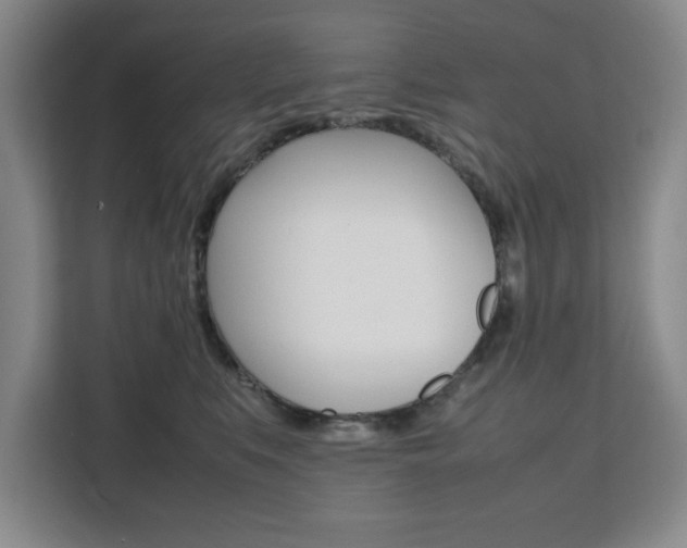 X0000111530519200907141259