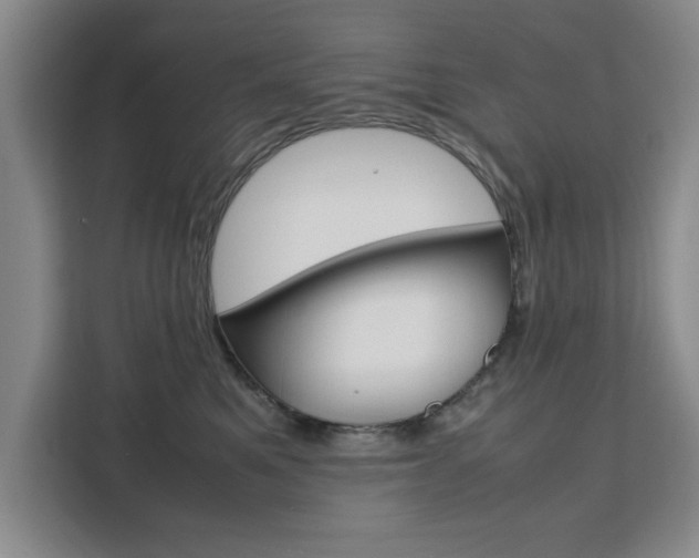 X0000111530521200907141259