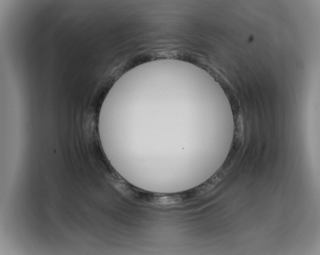 X0000111530522200907141259