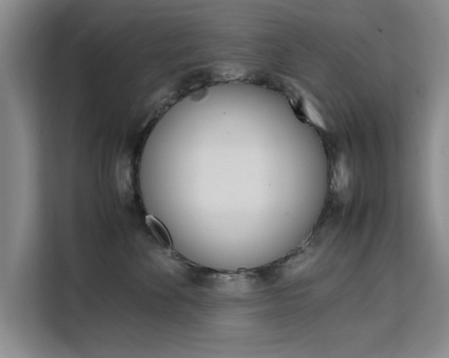 X0000111530524200907141259