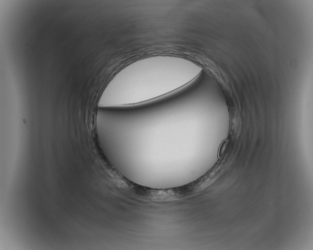 X0000111530525200907141259