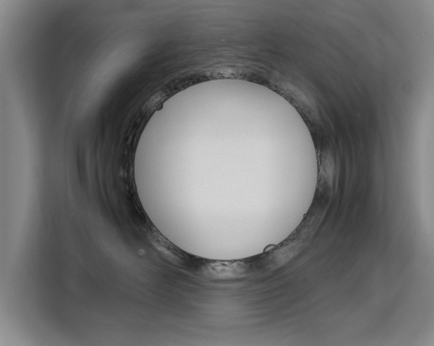 X0000111530526200907141259