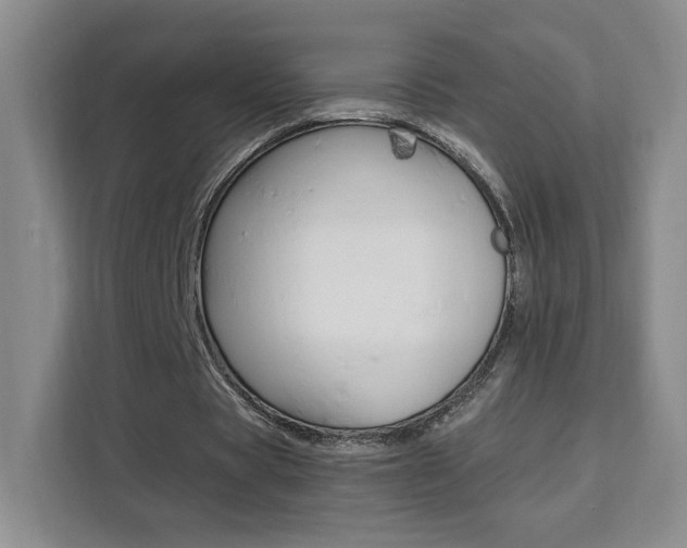 X0000111530529200907141258