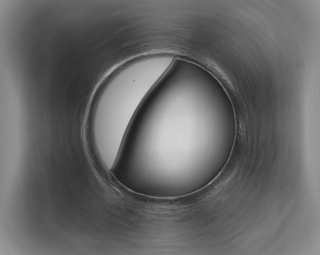 X0000111530532200907141258