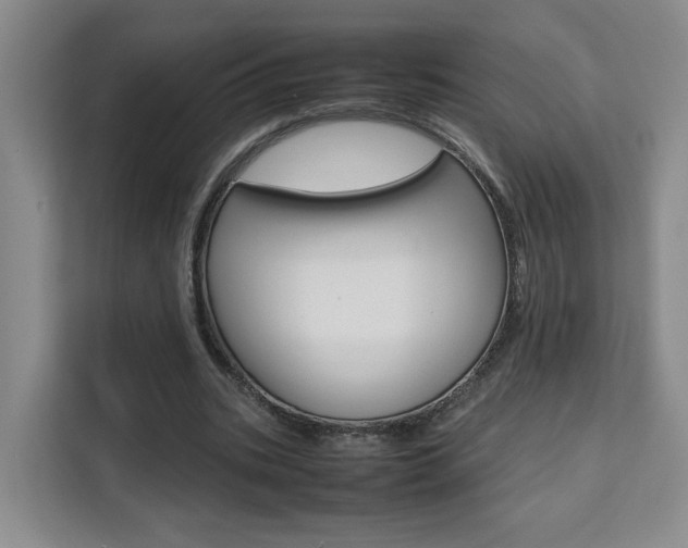 X0000111530535200907141258