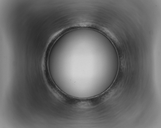 X0000111530536200907141258