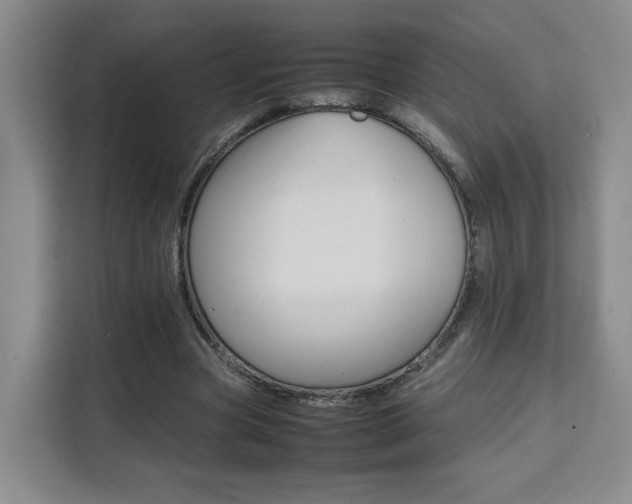 X0000111530537200907141258
