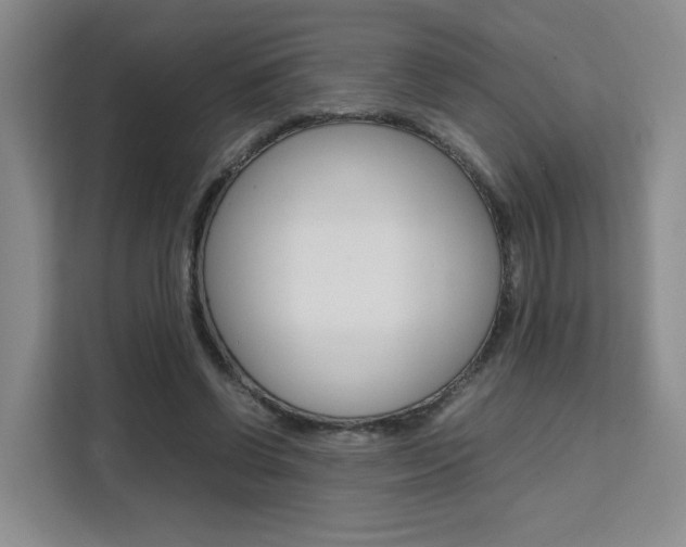 X0000111530542200907141259