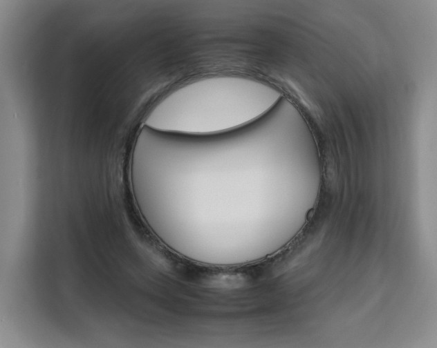 X0000111530543200907141259