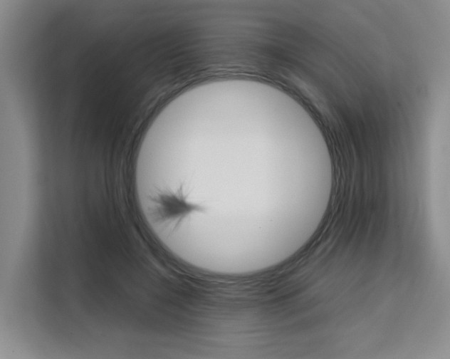 X0000111530548200907141259