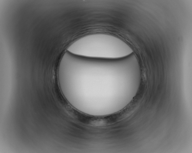 X0000111530551200907141259