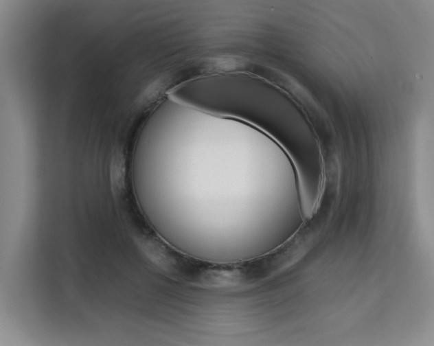 X0000111530552200907141259