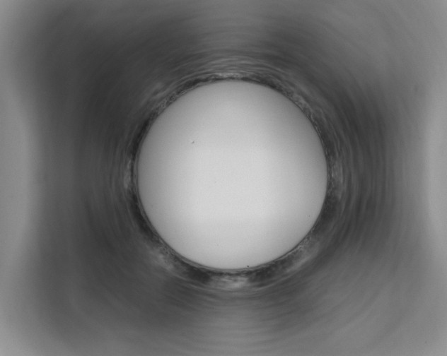 X0000111530554200907141259