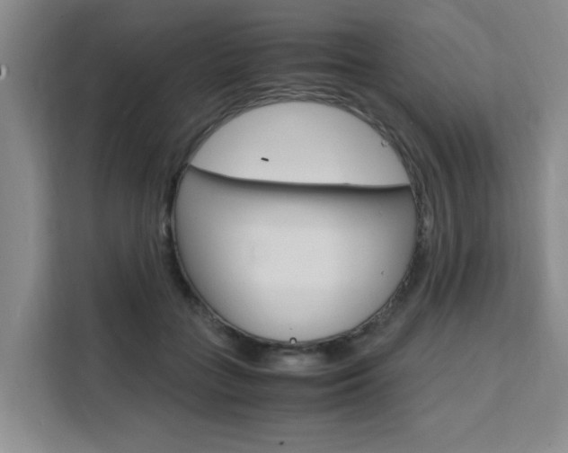 X0000111530555200907141259