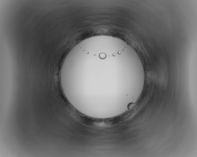 X0000111530561200907141259