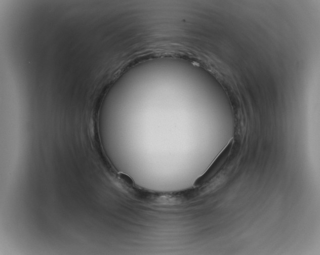 X0000111530562200907141259