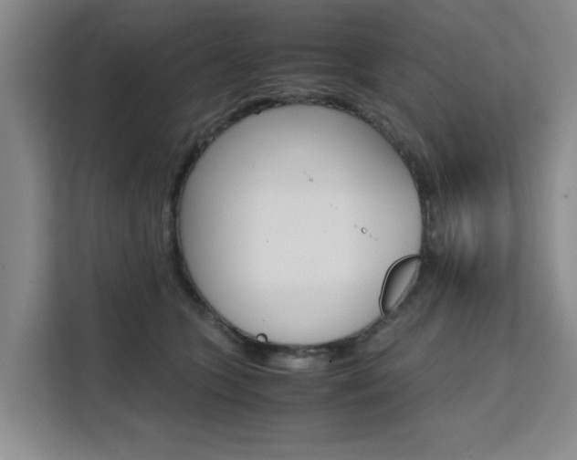 X0000111530563200907141259