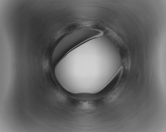 X0000111530564200907141259