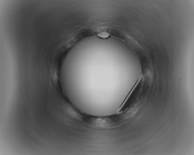 X0000111530566200907141259