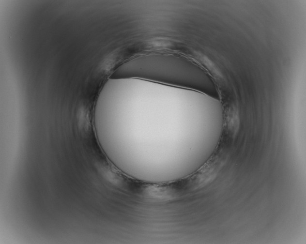 X0000111530568200907141259