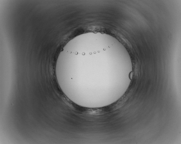 X0000111530569200907141259