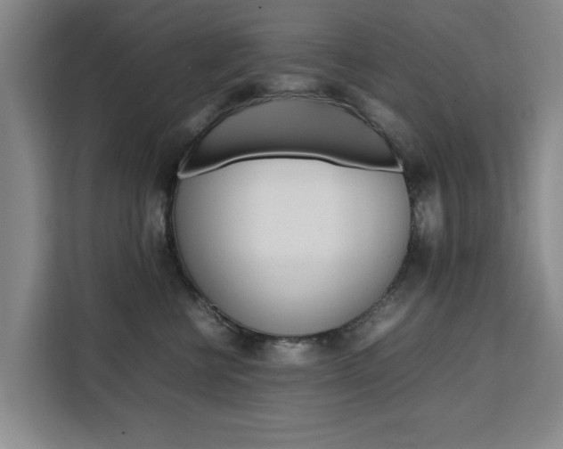 X0000111530570200907141259