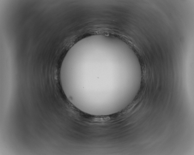 X0000111530571200907141259