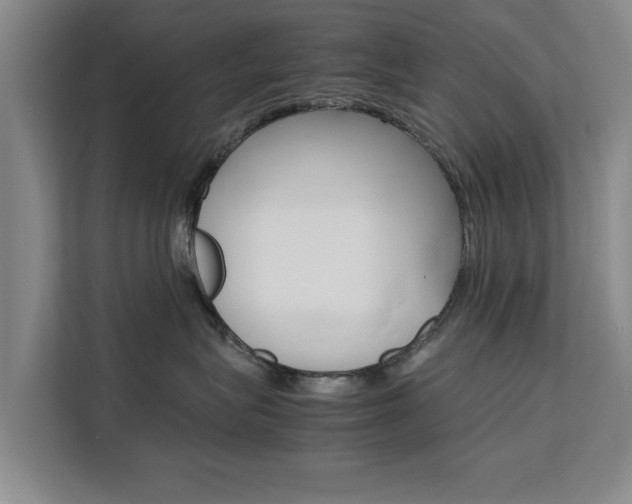 X0000111530575200907141259