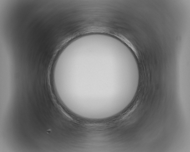 X0000111530581200907141258
