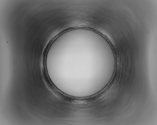 X0000111530582200907141258