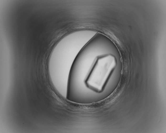 X0000111530585200907141258