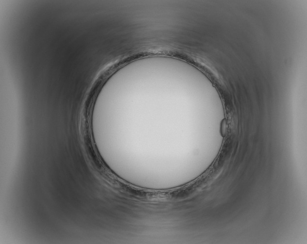 X0000111530587200907141258
