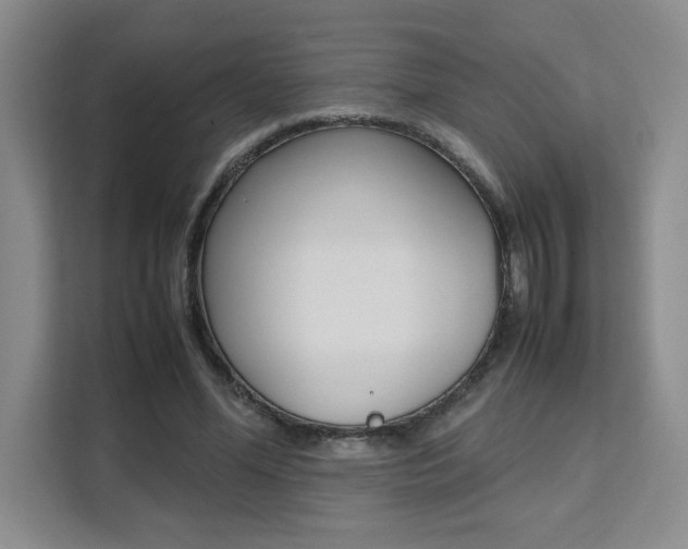 X0000111530588200907141258
