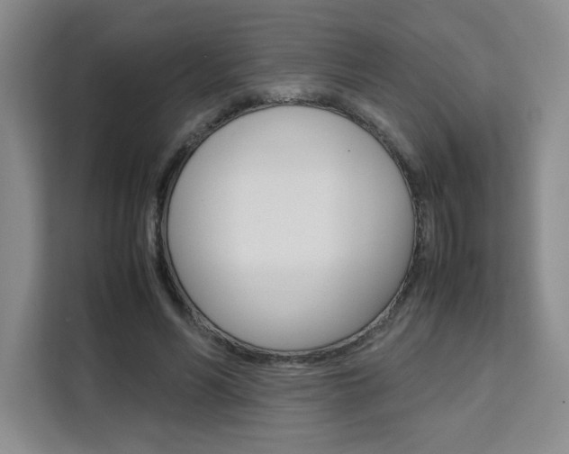 X0000111530590200907141258