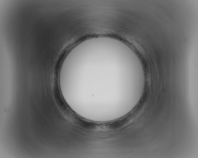 X0000111530591200907141258