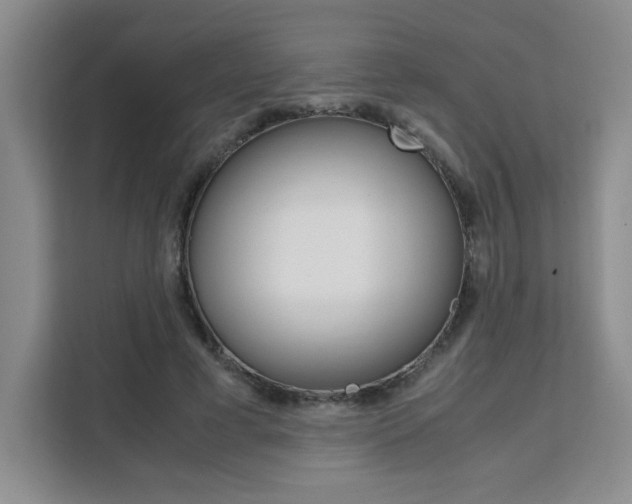 X0000111530593200907141258