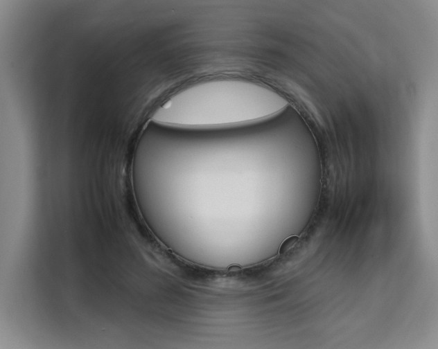 X0000111530596200907141258