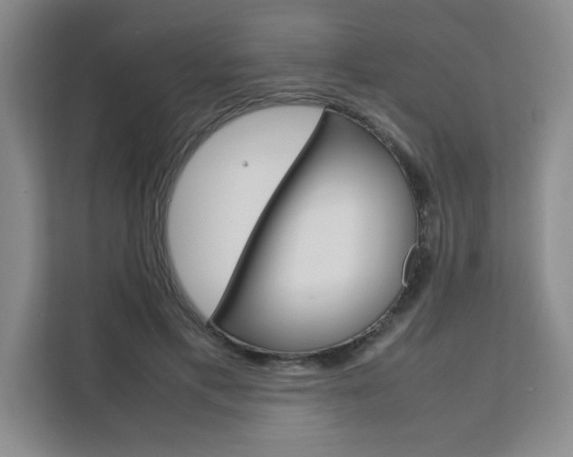 X0000111530597200907141258