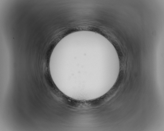 X0000111530599200907141258