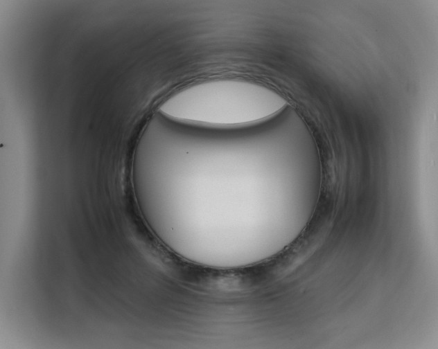 X0000111530600200907141258