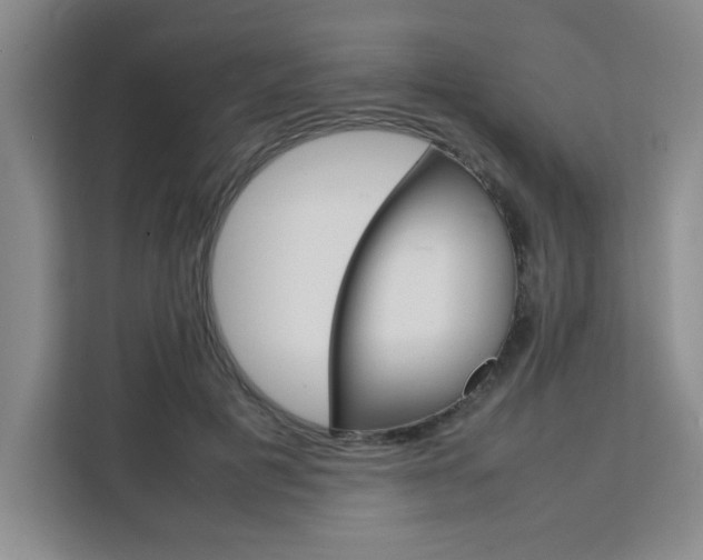 X0000111530601200907141258